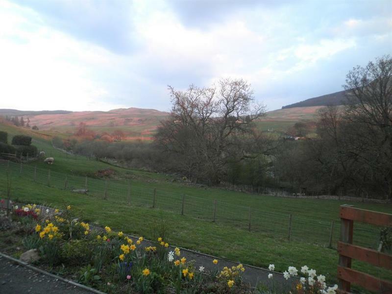 Rockfoot B&B Fintry Exterior foto